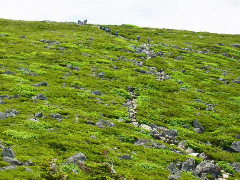 b0190242_1573225.jpg