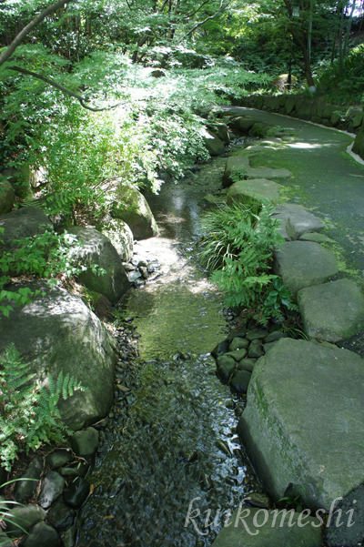 a0135743_16121669.jpg