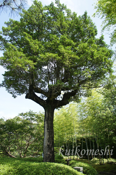 a0135743_16271357.jpg