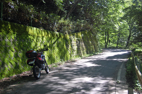 d0164443_2153628.jpg