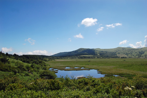 d0164443_2154690.jpg