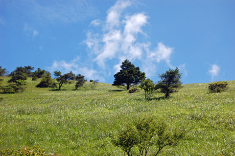 d0164443_2155426.jpg
