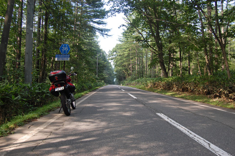 d0164443_226911.jpg