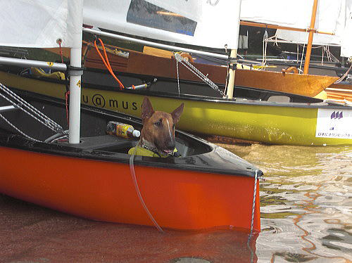f0094843_1626240.jpg