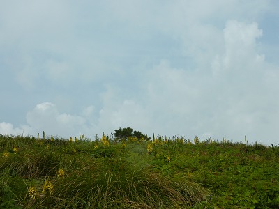 c0220047_993238.jpg