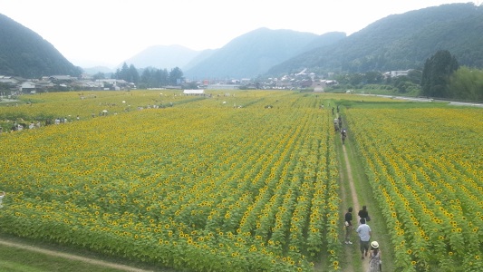 a0251851_0345121.jpg