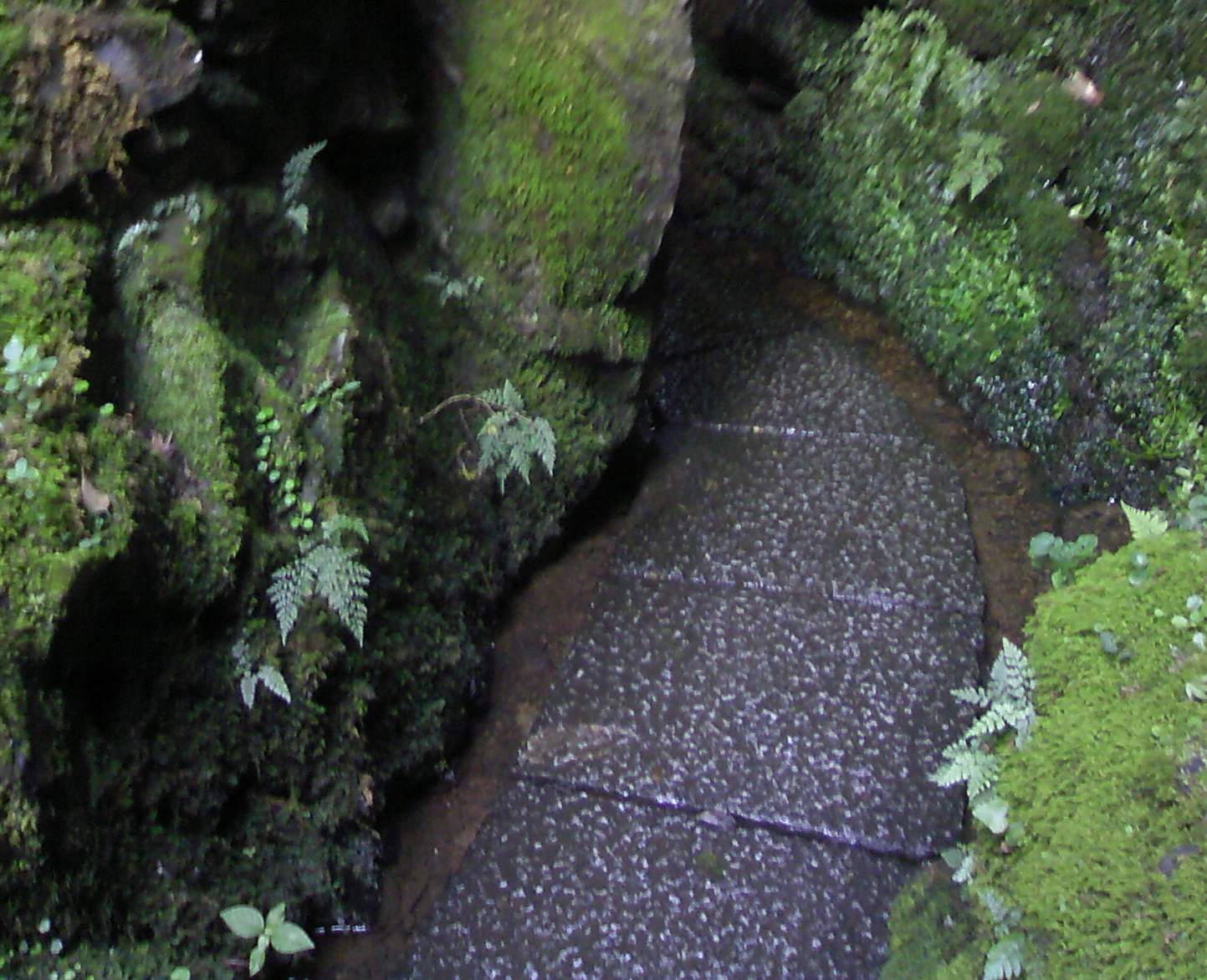 a0119252_17204866.jpg