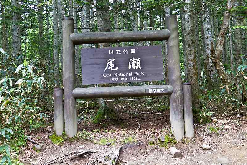 f0044056_6504848.jpg