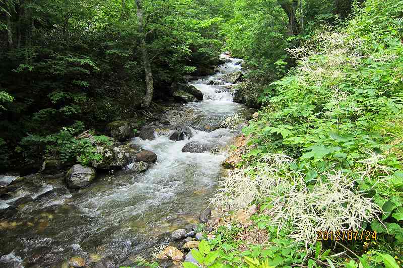 f0044056_6515320.jpg