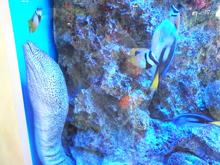 f0055358_22135850.jpg
