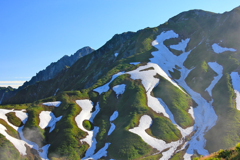 a0248459_16212458.jpg