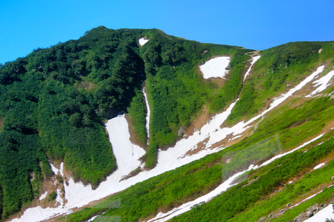 a0248459_16233682.jpg
