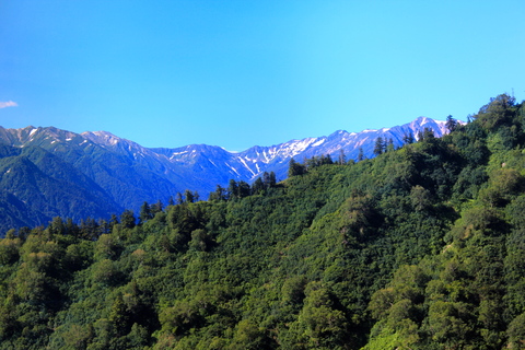 a0248459_1626444.jpg