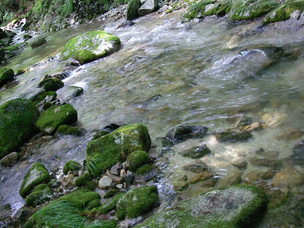f0212059_20193515.jpg
