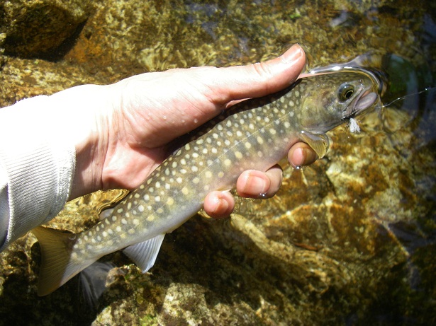 f0212059_20203337.jpg