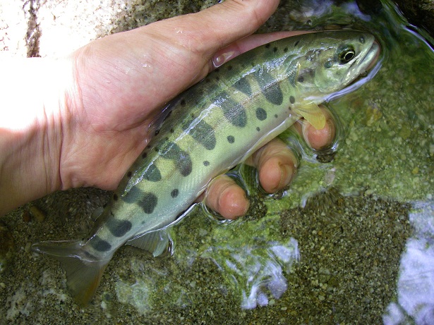 f0212059_2020546.jpg