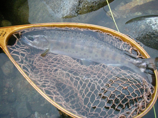 f0212059_2031164.jpg