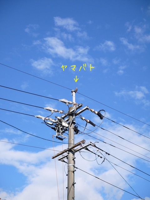 f0177261_20105855.jpg