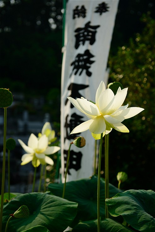 f0222161_13425264.jpg
