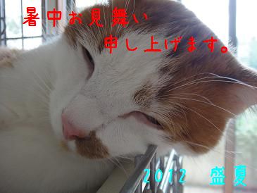 c0140863_21325193.jpg