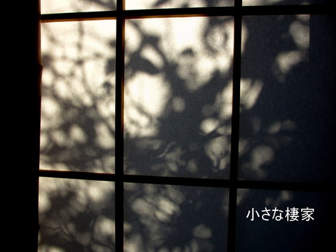 a0243064_21112971.jpg