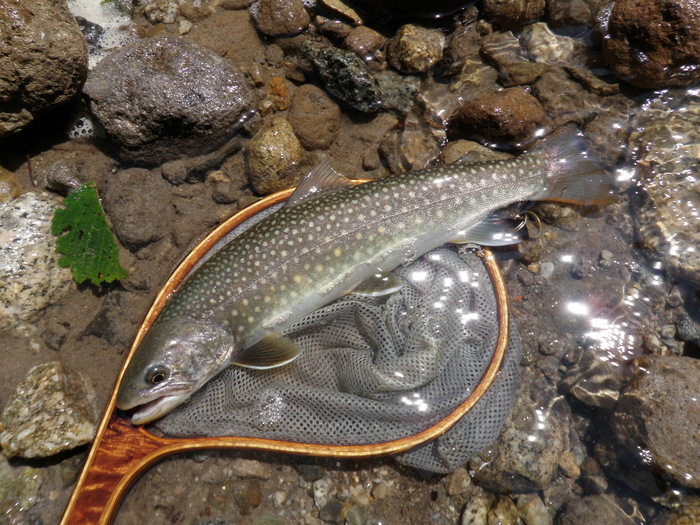 b0120066_12164724.jpg