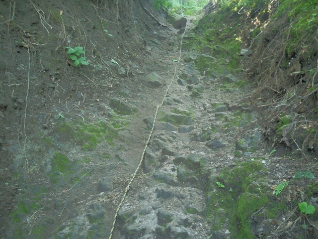c0042869_746049.jpg