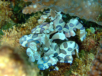 b0033573_17153839.jpg