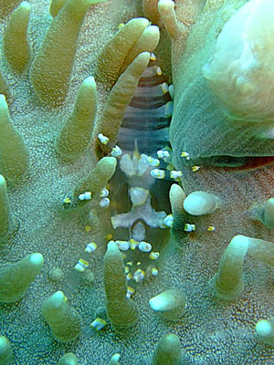 b0033573_17161019.jpg