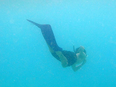 b0033573_17164054.jpg