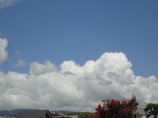 d0109373_22524738.jpg
