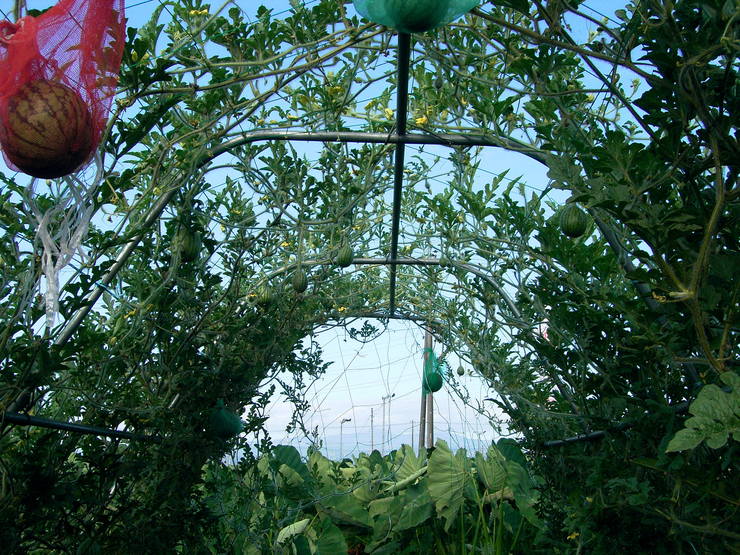 d0225575_9394929.jpg