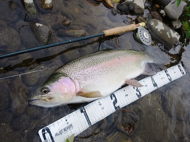 a0250576_23523282.jpg