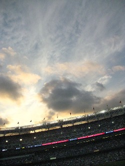 f0056476_1452989.jpg