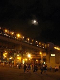 f0056476_2102354.jpg