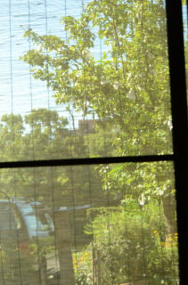 a0158478_1062513.jpg