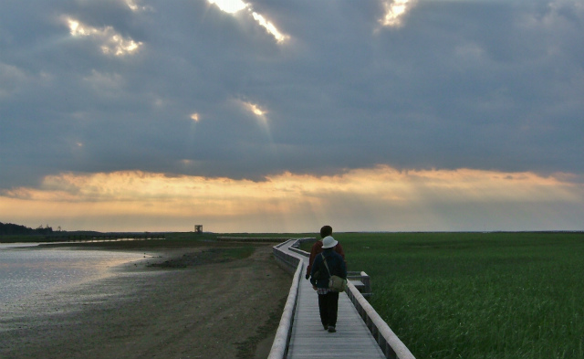 d0245378_73278.jpg