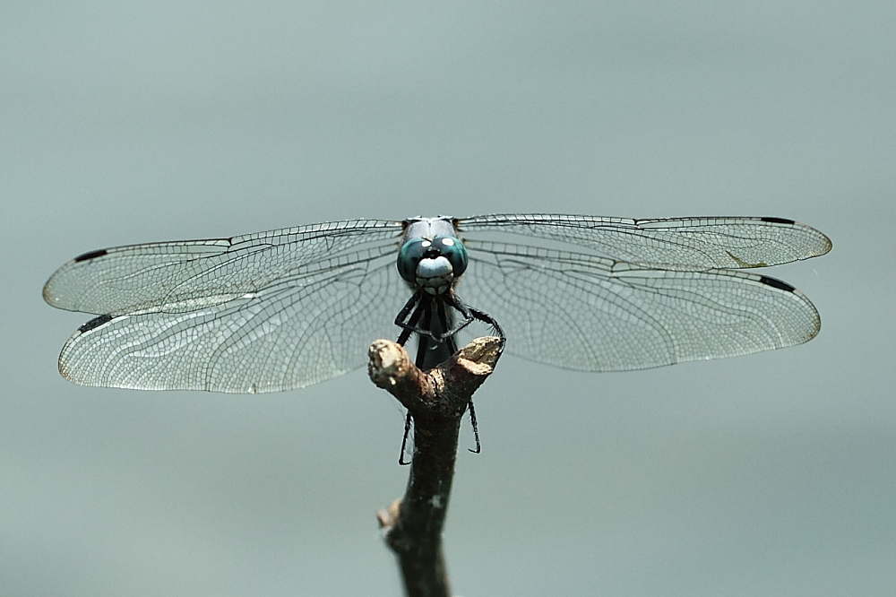 e0249878_9225242.jpg