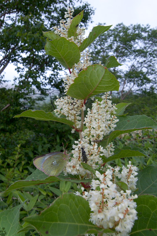 f0090680_2319440.jpg
