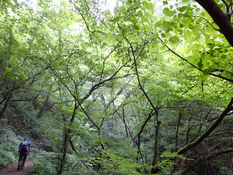a0043982_1835770.jpg