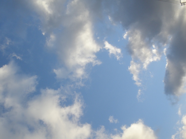 a0055891_14593871.jpg