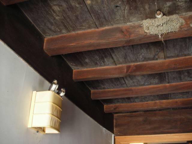 b0147093_13341183.jpg