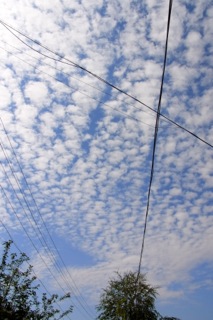 e0250594_20836.jpg