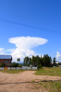 e0250594_22688.jpg