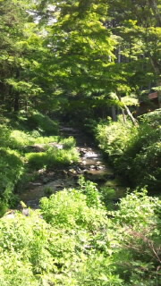 c0194296_1058281.jpg