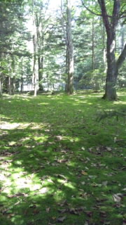 c0194296_10582814.jpg