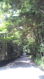 c0194296_10582893.jpg