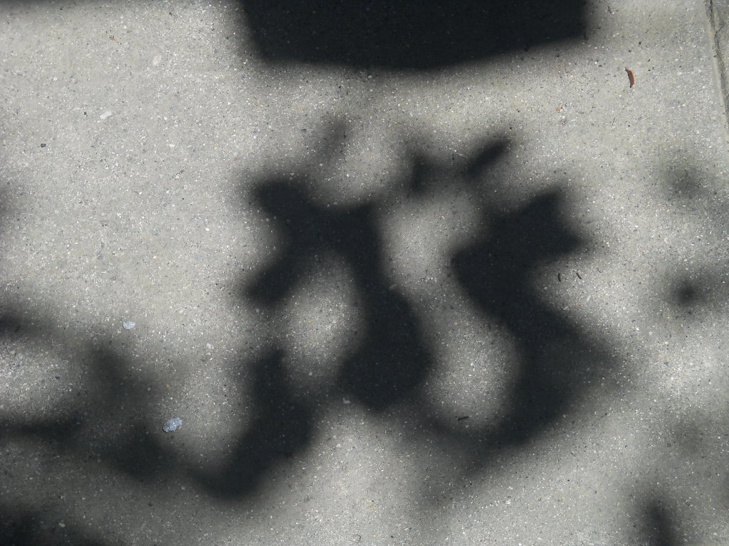 f0146802_1973177.jpg