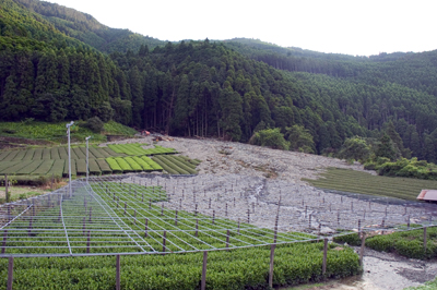 f0006704_1795525.jpg