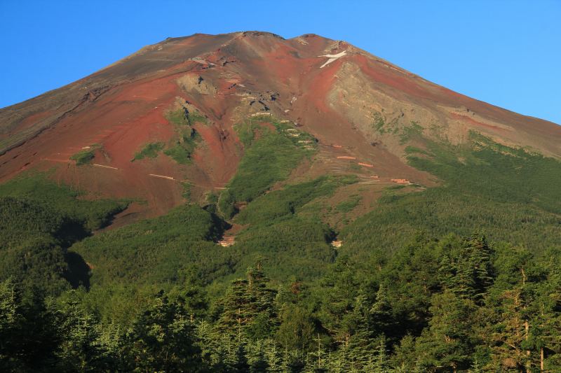 a0188405_1023299.jpg